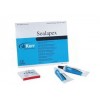 Sealapex 12g baza + 12g catalizator - KERR